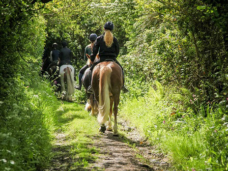 Island Trails and Beach Riding